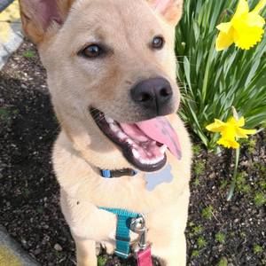 Meet your Posher, Kari